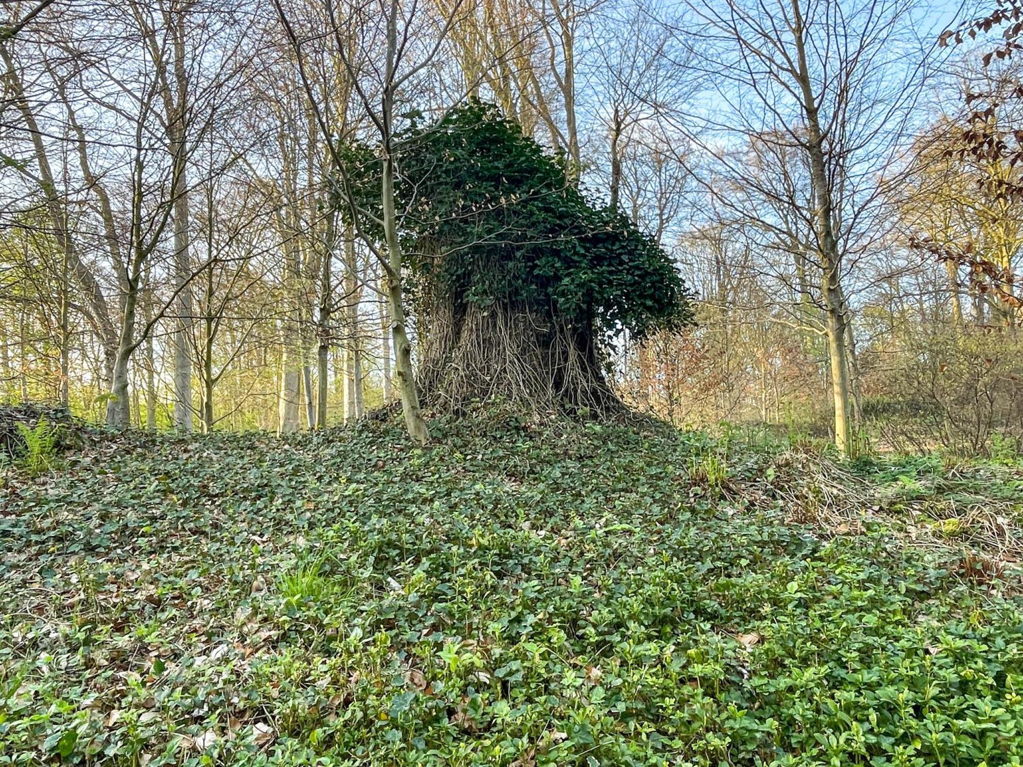 Landhaus Beim Knoops Park BRE Buitenkant foto